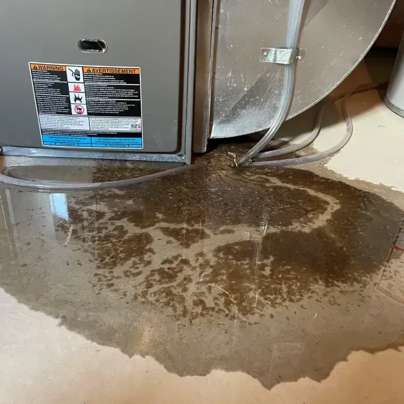 Appliance Leak Cleanup in Baxter, MN